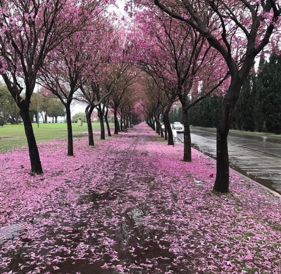 Bellisimo, Amplio, A Solo 100 Metros Del Rio, La Zona Vip De Rosario!!! *